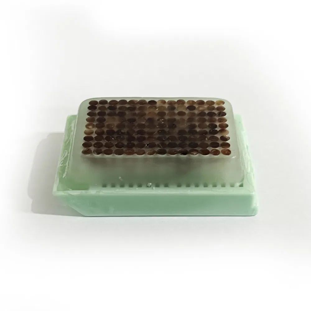 High Quality Disposable Medical Supplies Tissue Microarray Block Used for Comparative Pathology