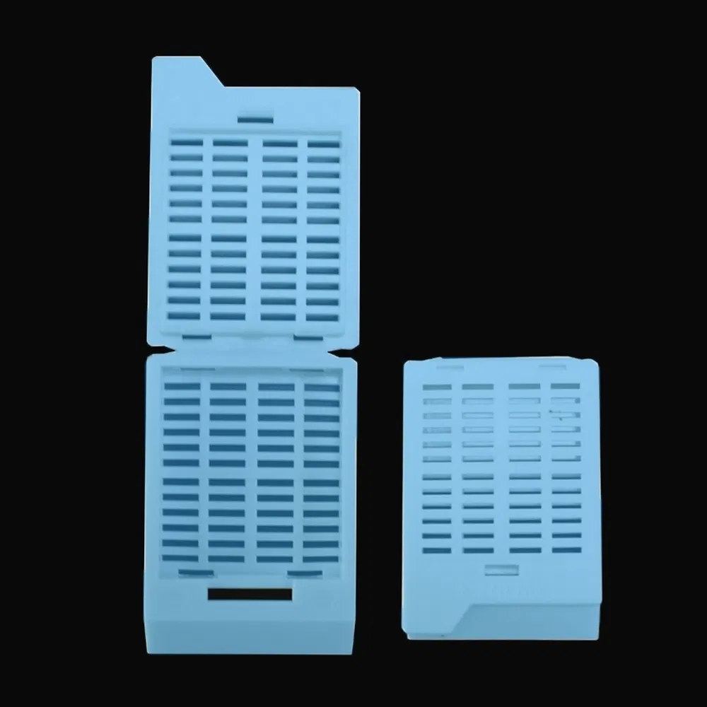 Stackable Filing Plastic Tissue Embedding Cassette Used for Standardized Hospital Workflows