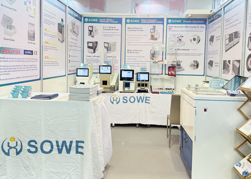 Exhibition7