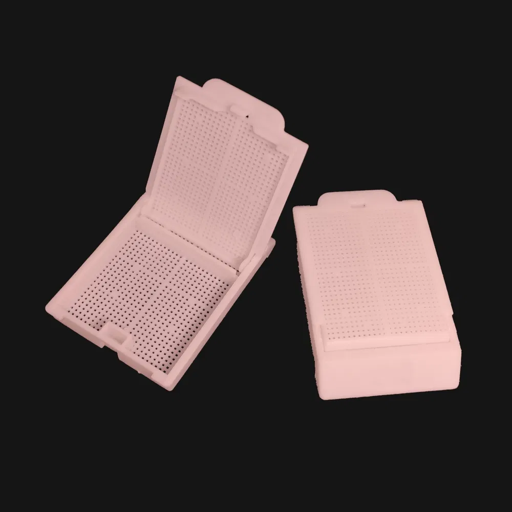 Advanced Pathology Specimen PP Tissue Embedding Cassette Box for Accurate Disease Diagnosis