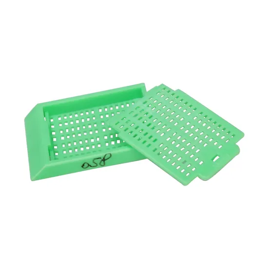 High Quality Tissue Biopsy Embedding Cassette Box Used for Autoimmune Disease Research