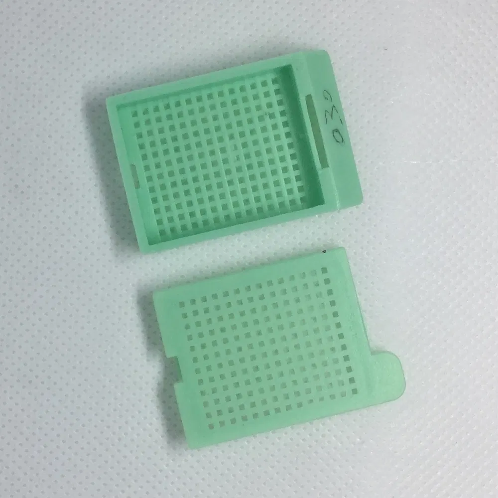 Premium Medical Standard PP Tissue Embedding Cassette Box for Chemical Fixation Procedures