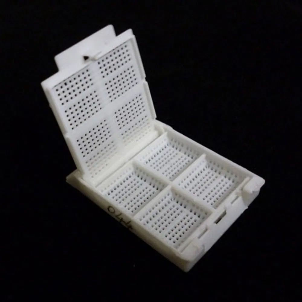 Medical Grade Examination PP Tissue Embedding Cassette Box for Surgical Tumor Assessment