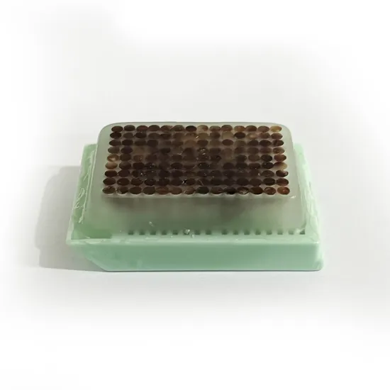 High Quality Disposable Medical Supplies Tissue Microarray Block Used for Comparative Pathology