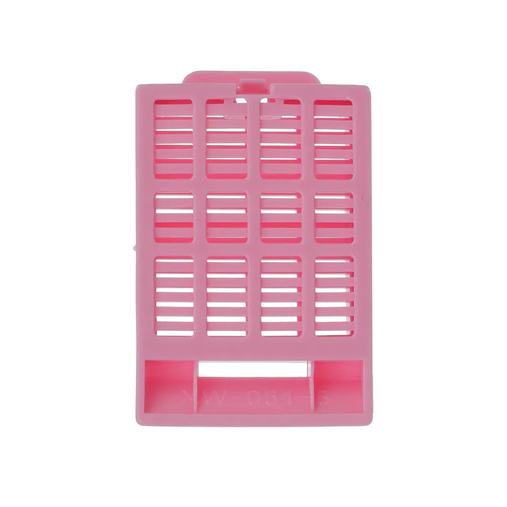 Innovative Staining Compatible PP Tissue Embedding Cassette for Cellular Structure Visualization