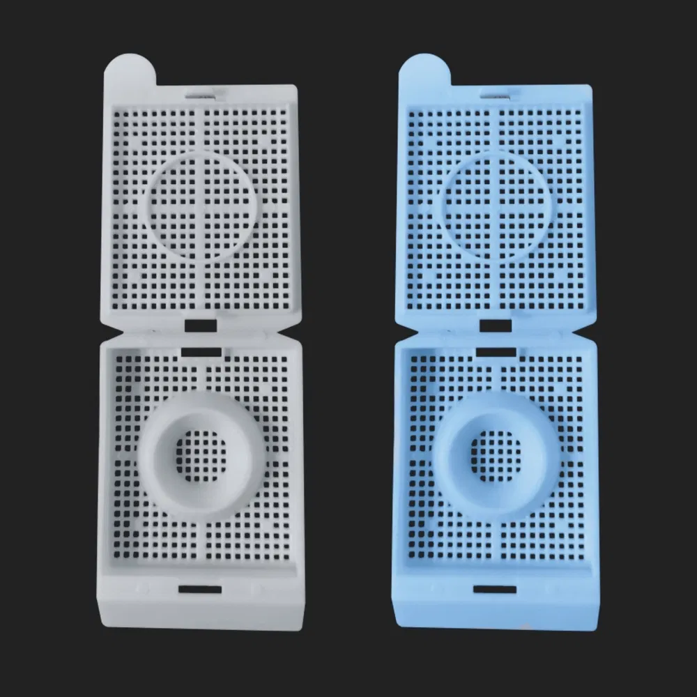 Sterile Handling Plastic Tissue Embedding Cassette Used for Organized Biological Samples